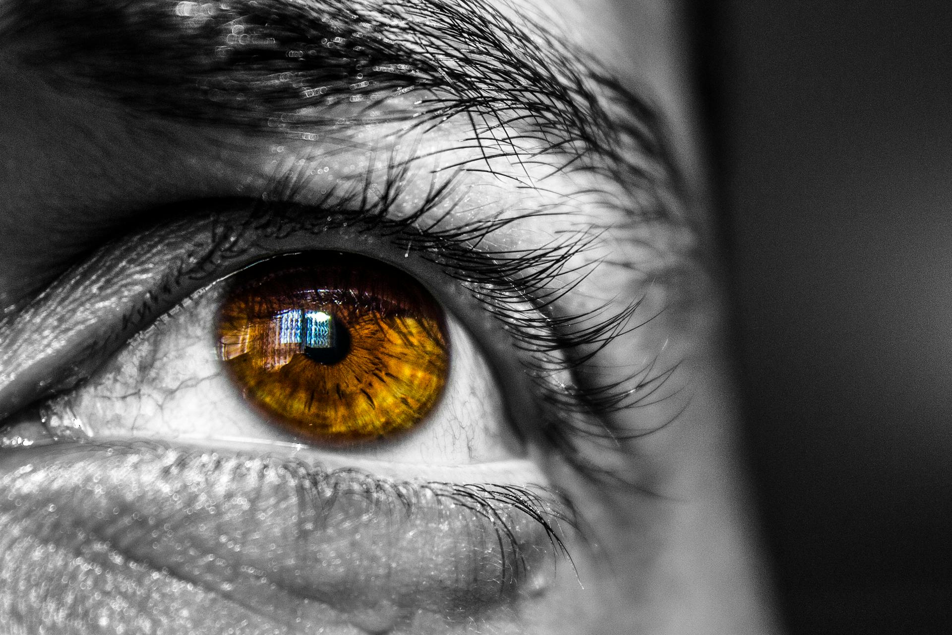 THE ART OF DECEPTION: WHAT IS SOCIAL ENGINEERING?